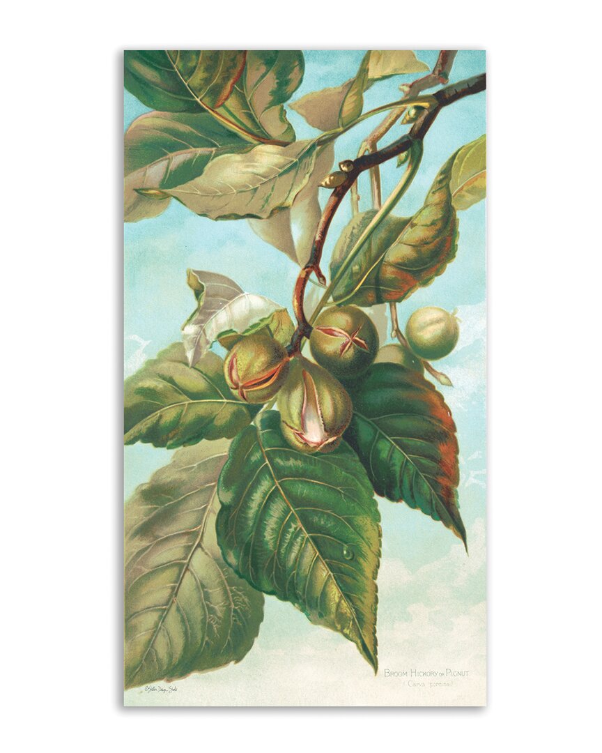 COURTSIDE MARKET COURTSIDE MARKET TREE BRANCH WITH FRUIT I CANVAS WALL ART