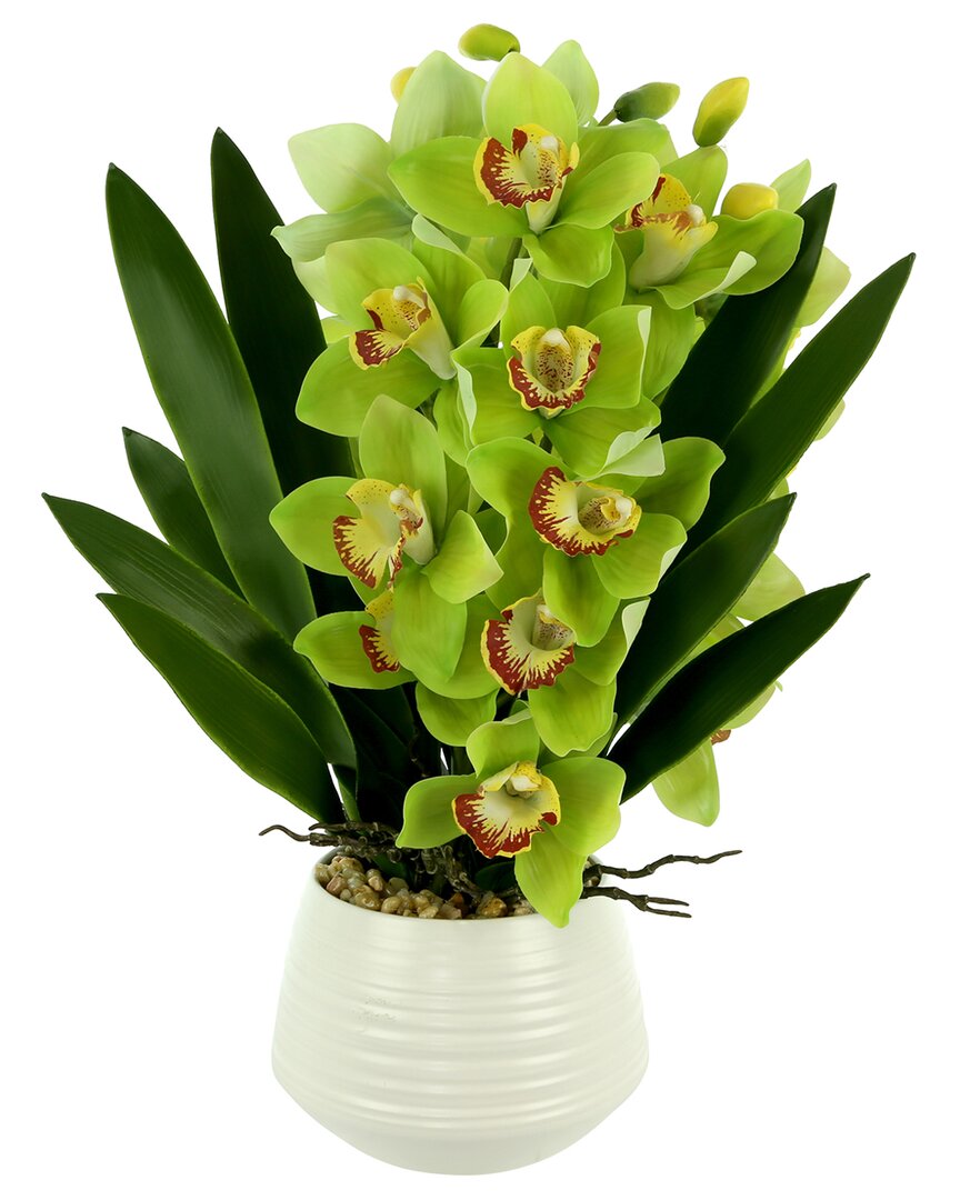 Shop Creative Displays Green Orchid Arrangement In White Ceramic Pot