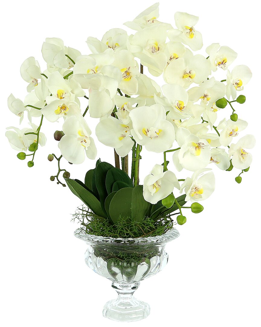 Creative Displays Orchid Floral Arrangement With Leaves And Vines In Glass Pedestal Vase In White