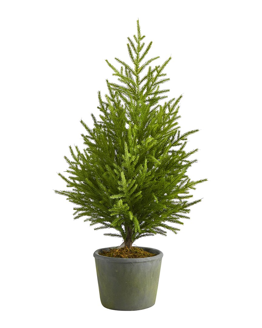 NEARLY NATURAL NEARLY NATURAL 3FT NORFOLK ISLAND PINE NATURAL LOOK ARTIFICIAL TREE 