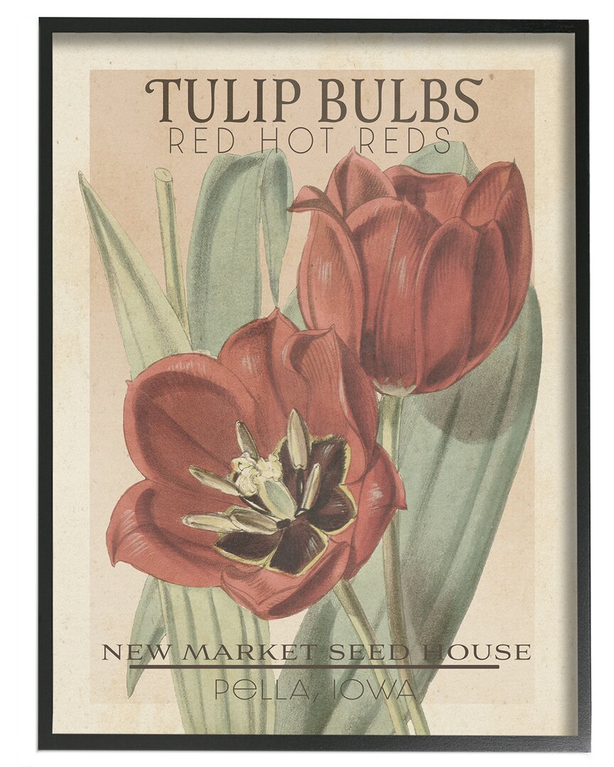 Stupell Hot Red Tulip Bulbs Antique Floral Seed Packet By Studio W Wall Art