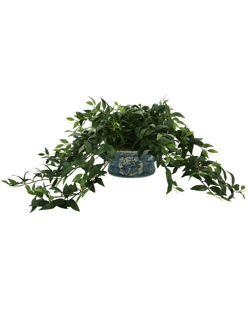 Shop Creative Displays Ruscus Ivy In Decorative Pot In Green