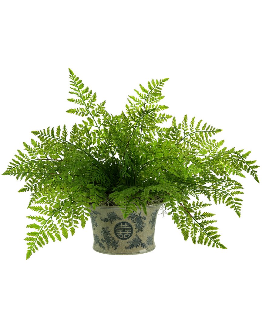 Shop Creative Displays Fern In Decorative Pot In Green