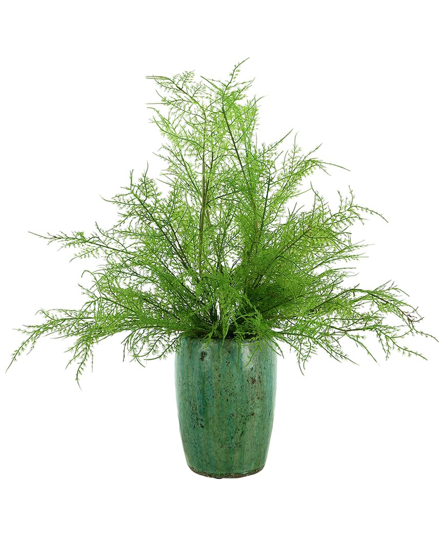CREATIVE DISPLAYS CREATIVE DISPLAYS DECORATIVE FERN ARRANGEMENT