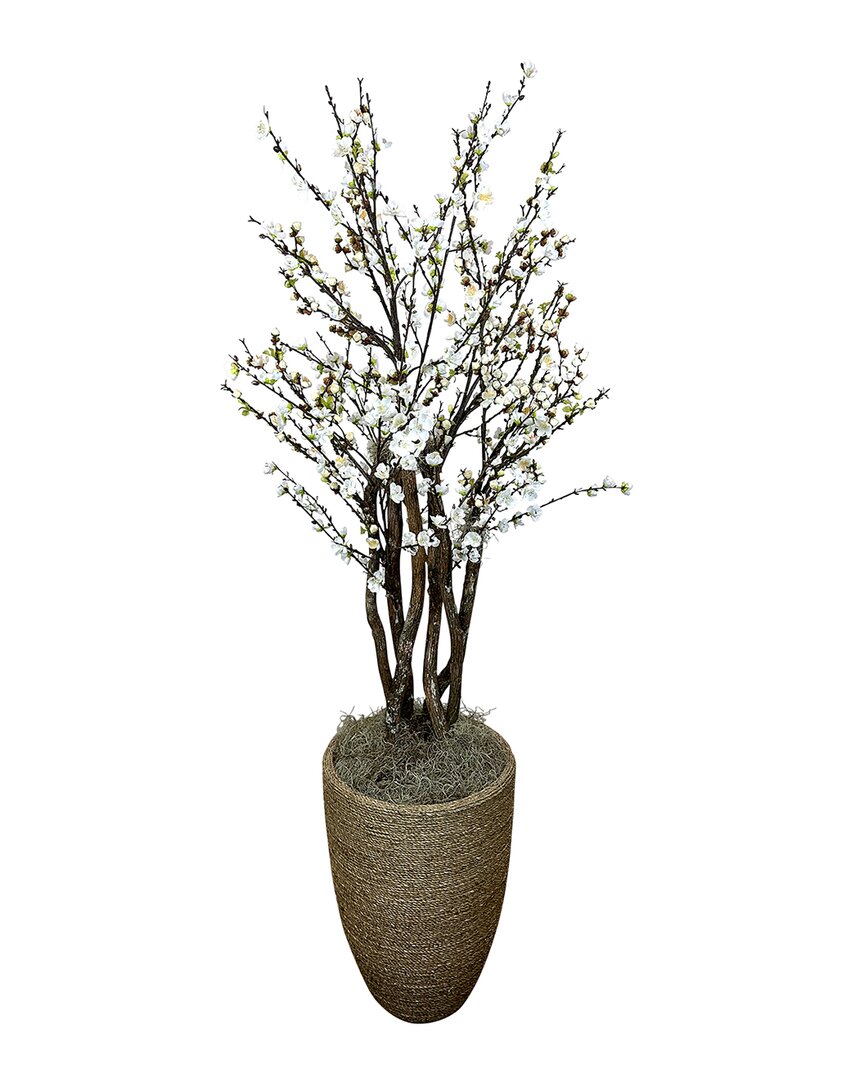 Shop Creative Displays 6ft White Cherry Blossom Tree In Pot