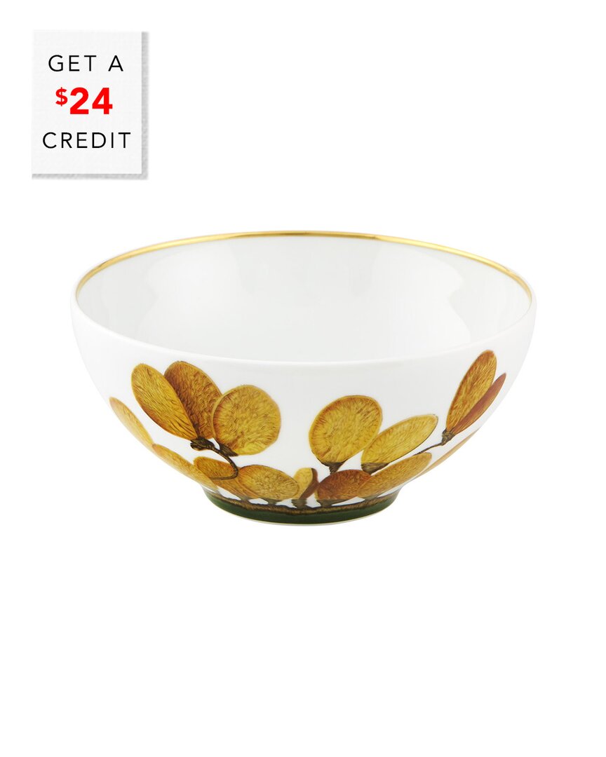 Vista Alegre Amazonia Cereal Bowls (set Of 4) With $24 Credit In Multi