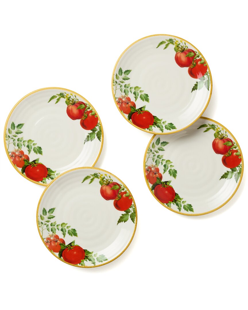 Certified International Pomodoro Set Of 4 Canape Plates In White