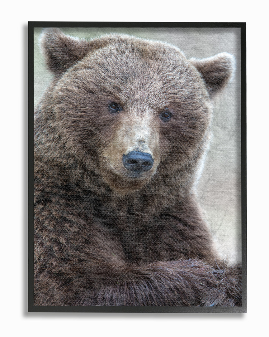 Stupell Most Interesting Bear By Stock Framed Art