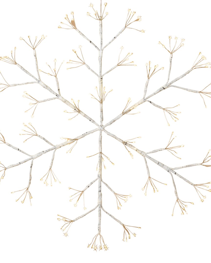 Gerson International Gerson 20in Diameter Battery Operated Firecracker Led Lighted Hanging Snow Flake In White