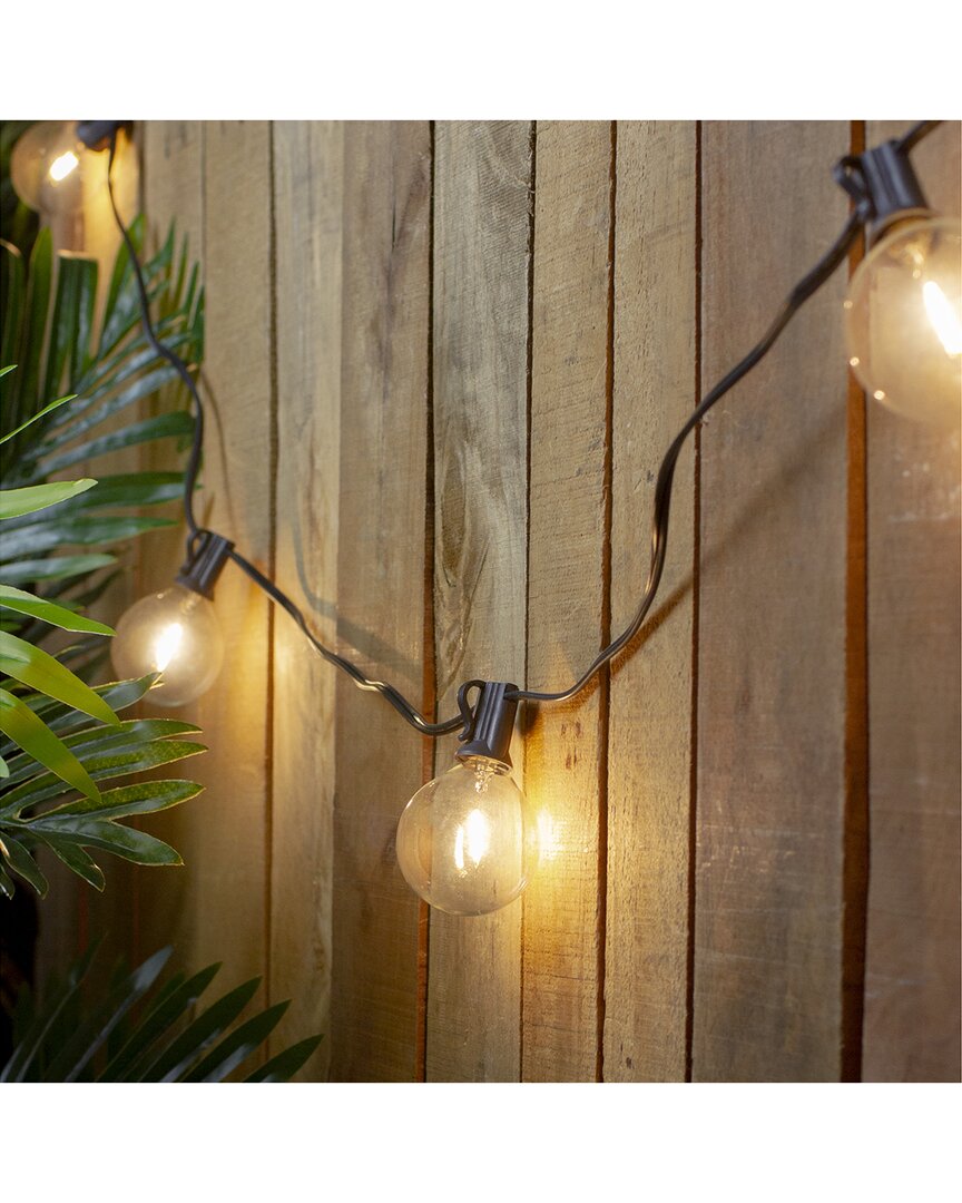 Northlight 10-count Warm White Led G50 Globe Patio Lights