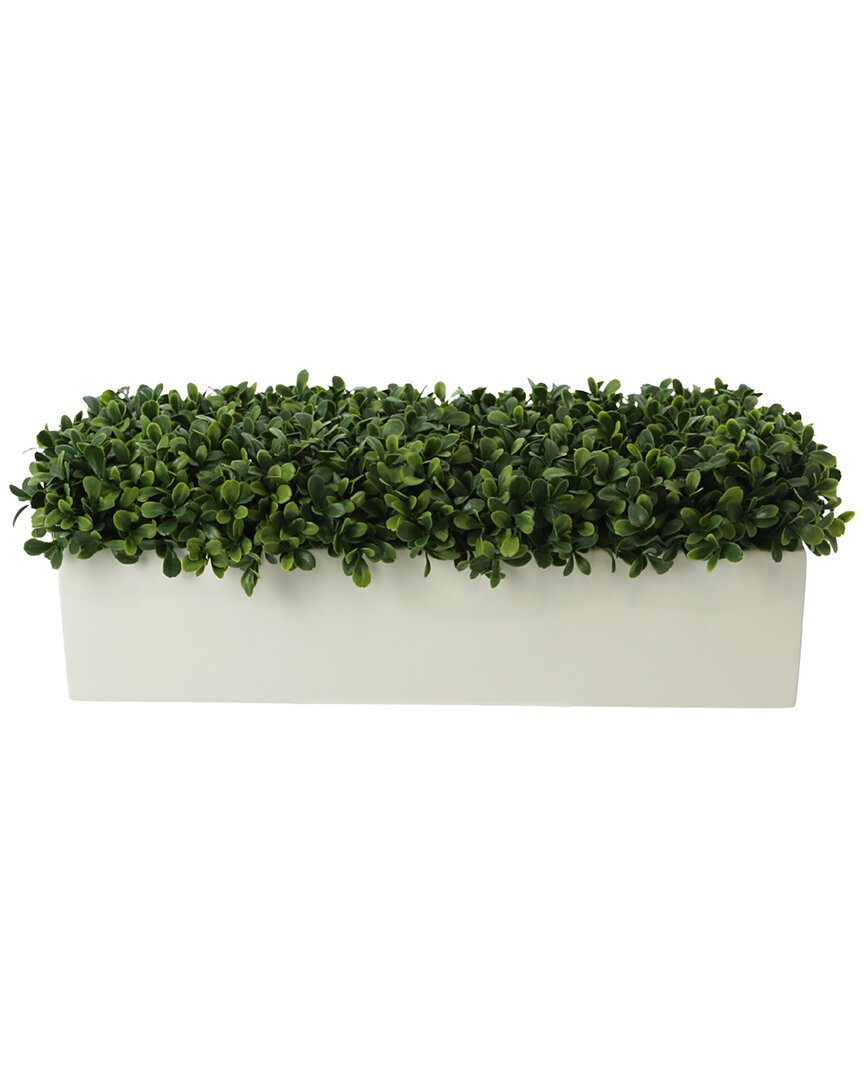 Creative Displays Boxwood Arrangement In Green