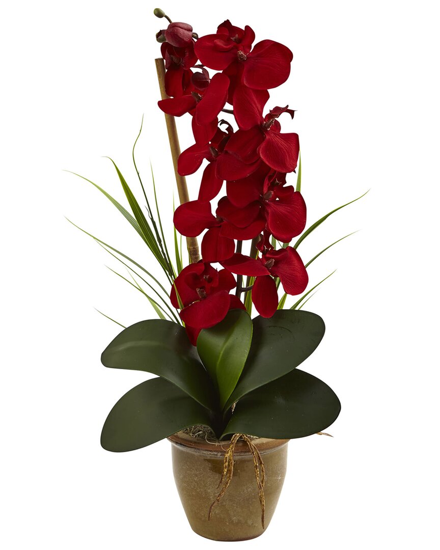 NEARLY NATURAL NEARLY NATURAL PHALAENOPSIS ORCHID SILK ARRANGEMENT IN CERAMIC VASE