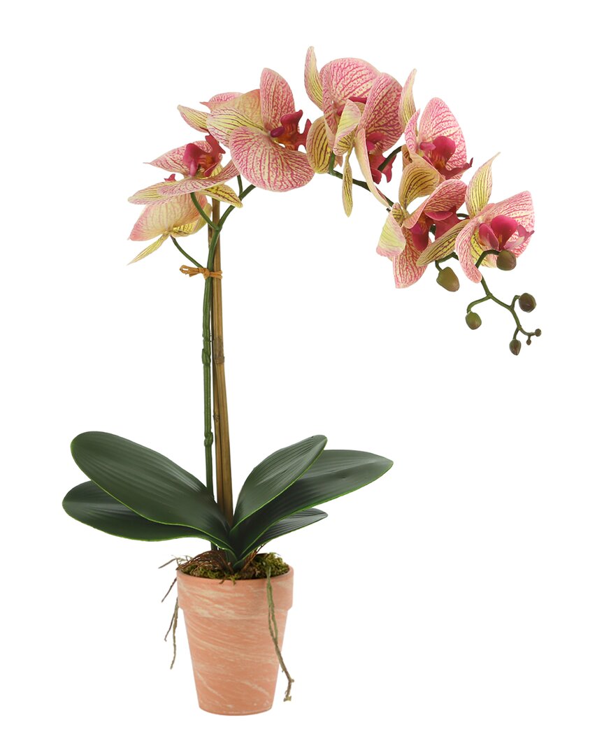 Creative Displays Pink Orchid Floral Arrangement