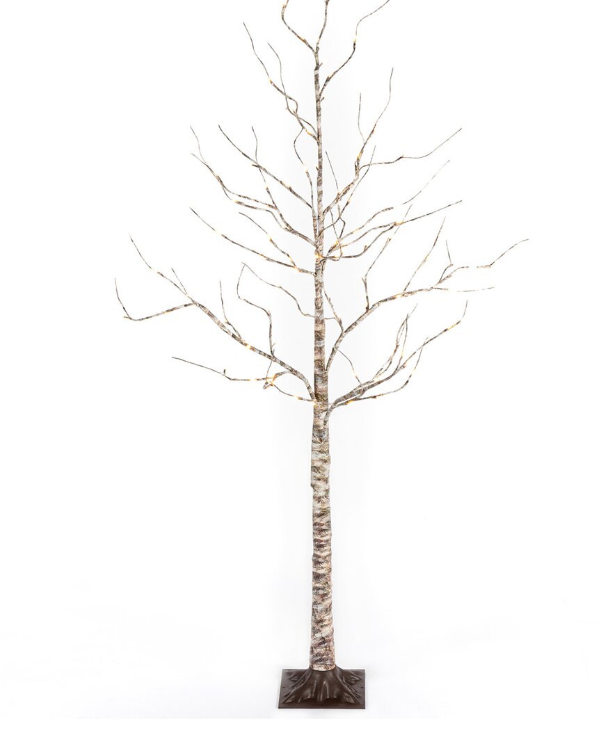 Gerson International 6ft High Electric Birch Bark Effect Lighted Tree In Gray