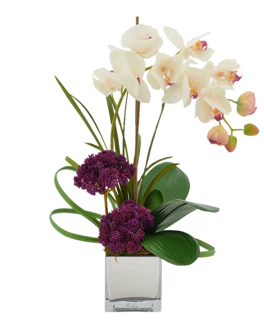 Creative Displays Cream Orchid & Purple Sedum Floral Arrangement In Multi
