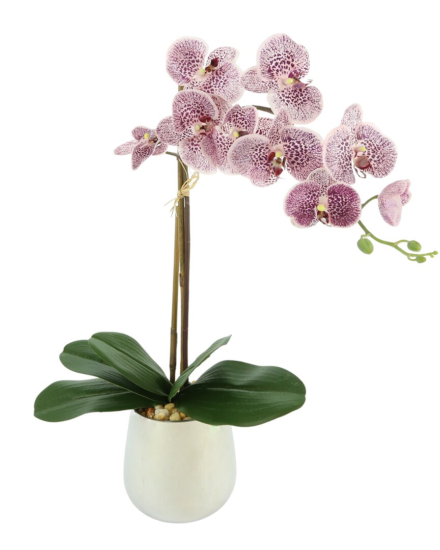 Creative Displays Purple Orchid Floral Arrangement In Multi