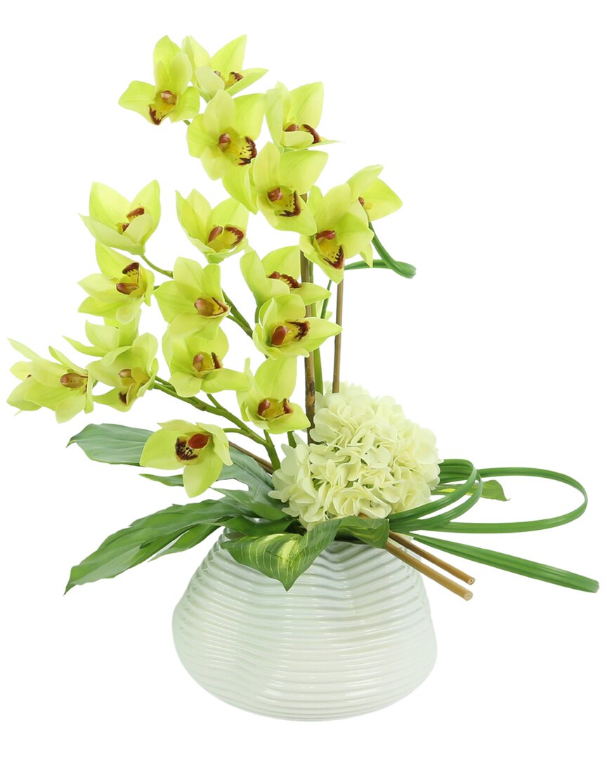 Creative Displays Green Orchid With White Hydrangea Floral Arrangement In Multi