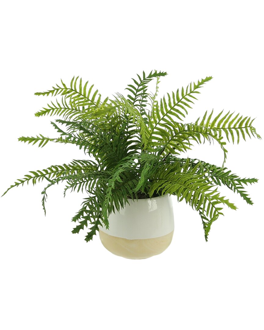Creative Displays Green River Fern Arrangement