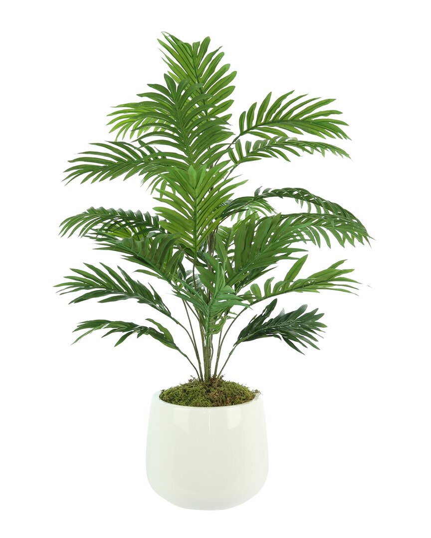 Creative Displays Green Palm Tree