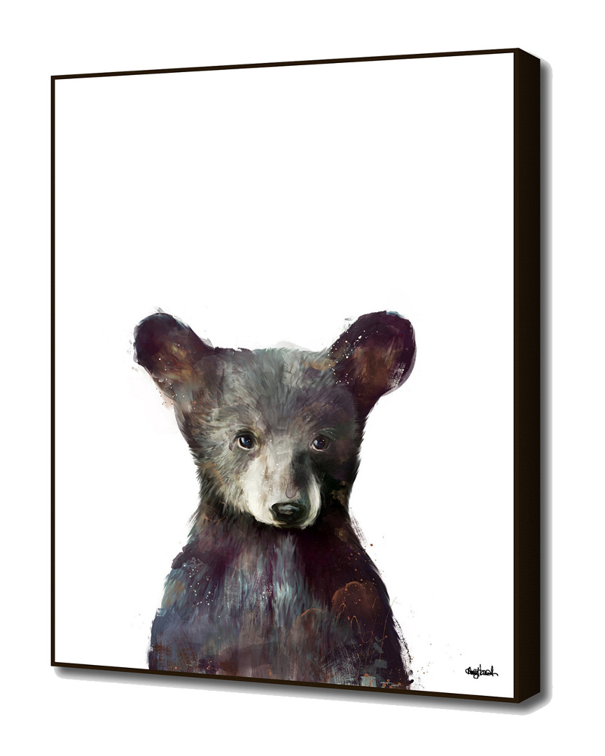 Curioos Little Bear By Amy Hamilton