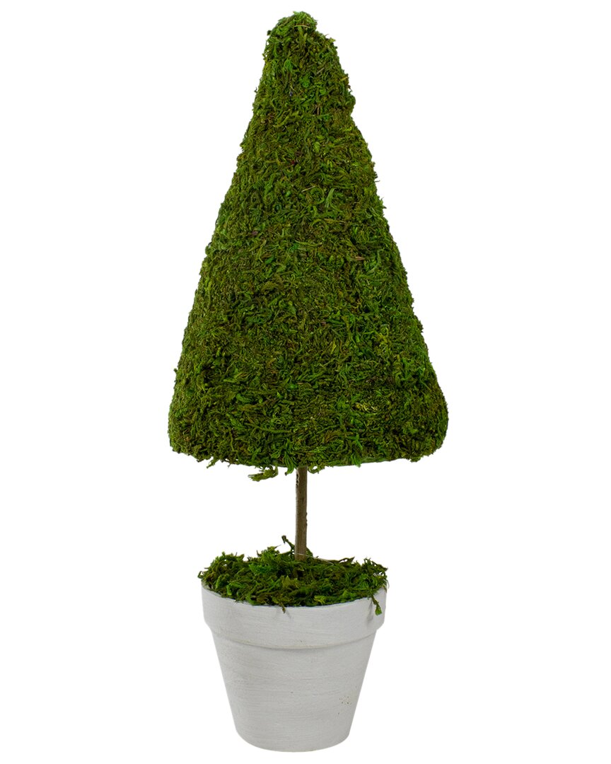 NORTHLIGHT NORTHLIGHT 21IN REINDEER MOSS POTTED ARTIFICIAL TOPIARY TREE