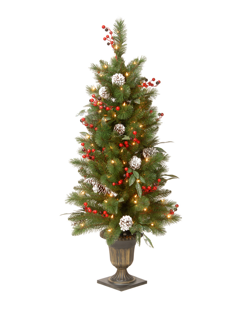 National Tree Company 4' Frosted Pine Berry Collection Entrance Tree