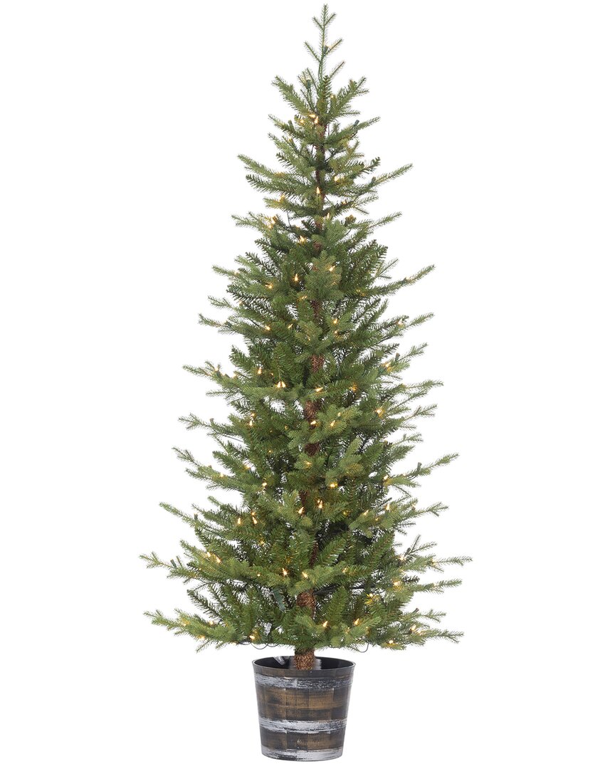 Sterling Tree Company 6ft High Potted Natural Cut Glendale Pine With 200 Clear Led Lights In Green