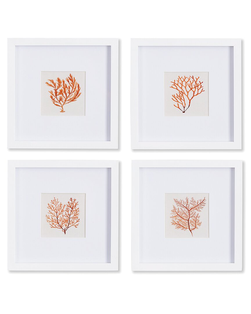 Napa Home & Garden Branch Coral Petite Prints Set
