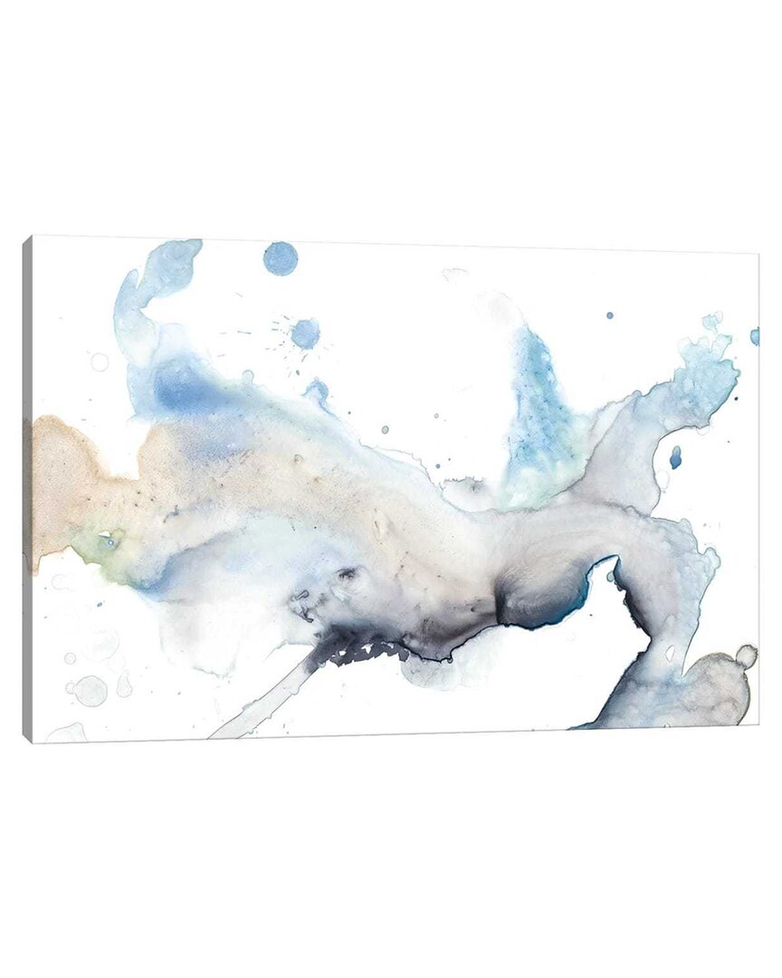 Shop Icanvas Bloom Cloud I By Jennifer Goldberger Wall Art