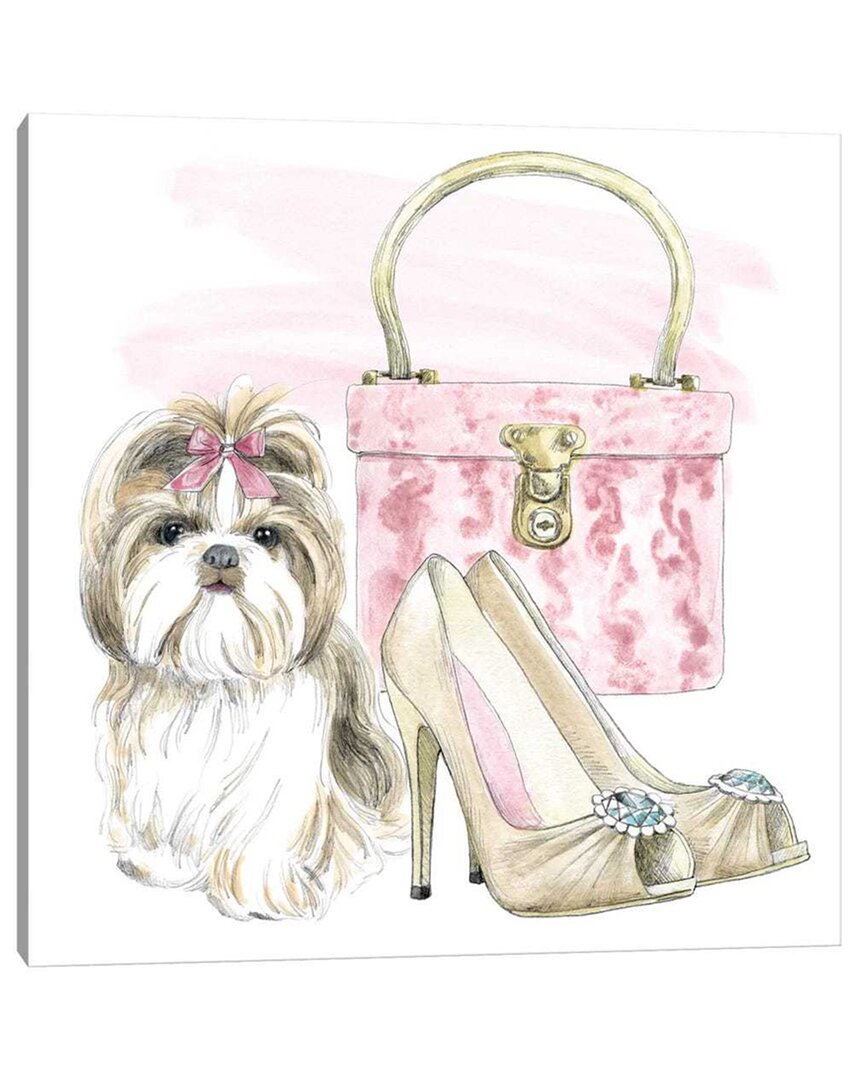 Shop Icanvas Glamour Pups Ii By Beth Grove Wall Art