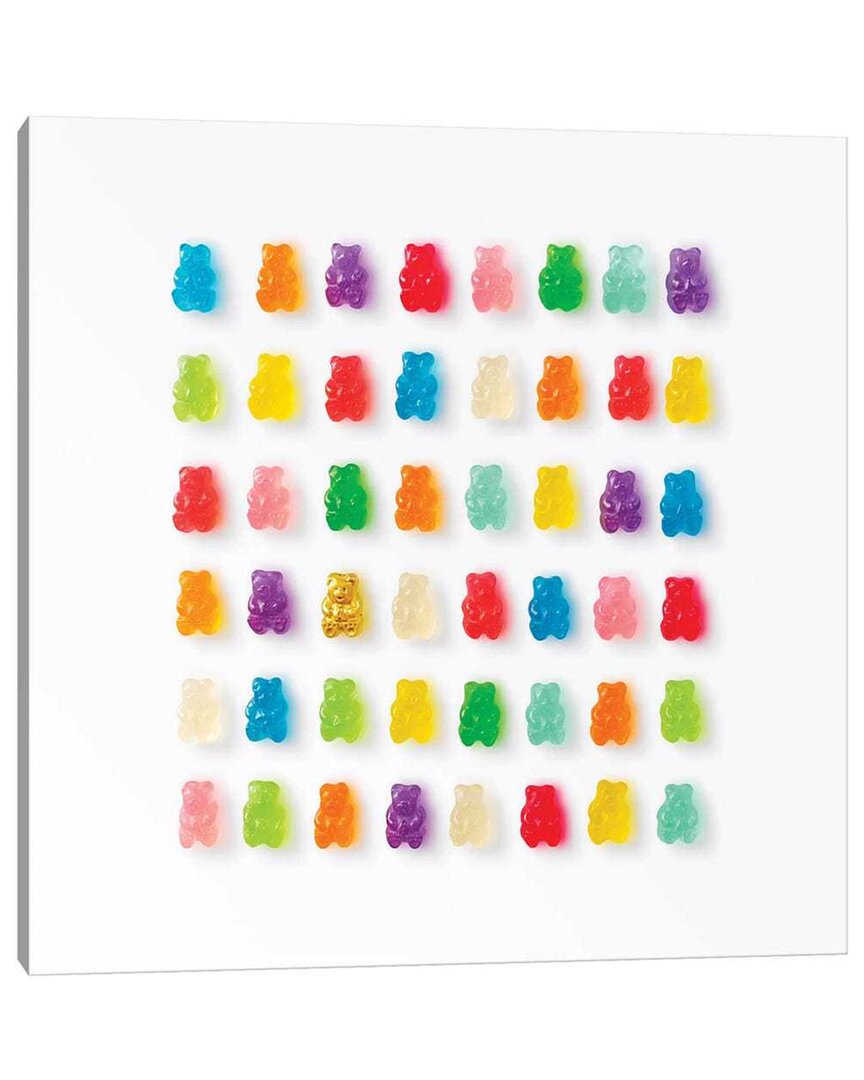 Icanvas Rainbow Bears By Erin Summer Wall Art