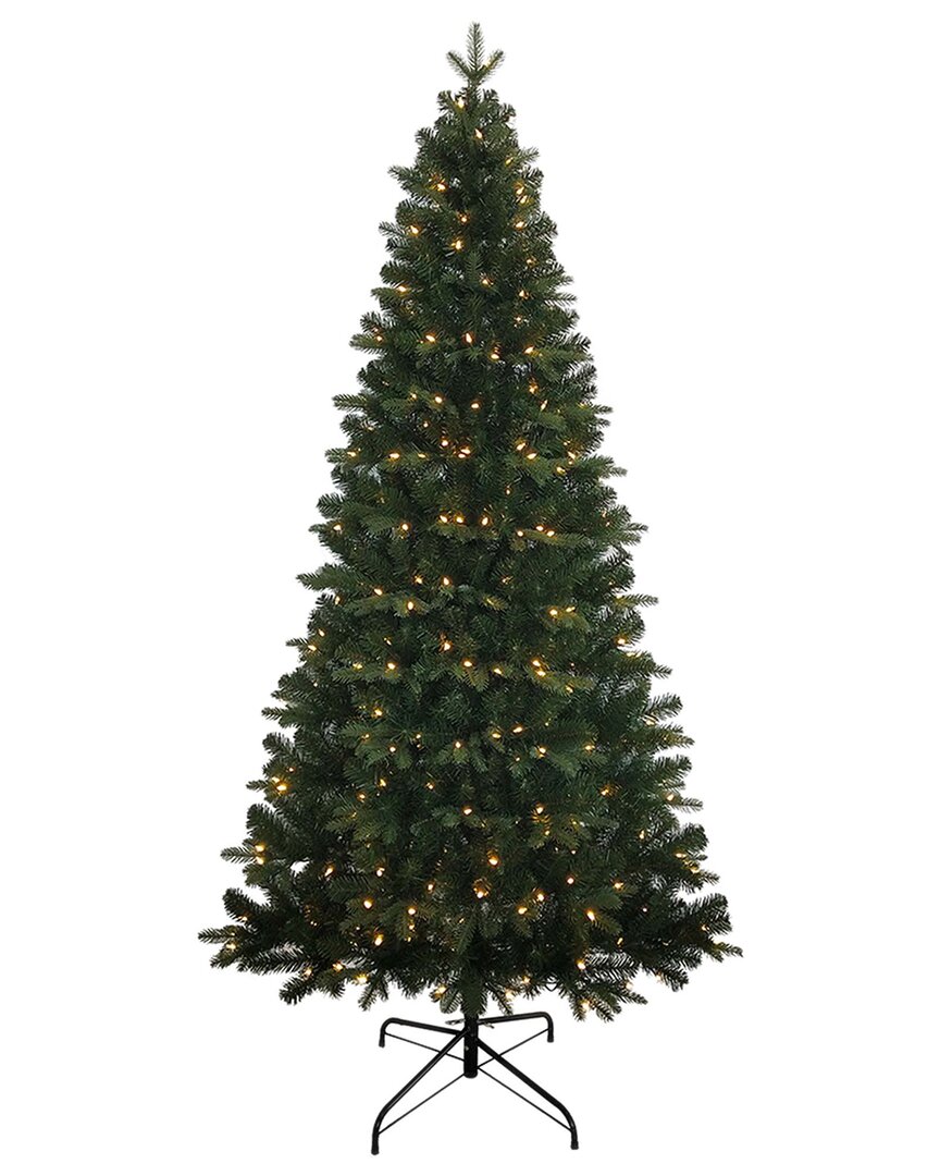 Kurt Adler 6-foot Pre-lit Clear Incandescent Studio Spruce Tree In Green