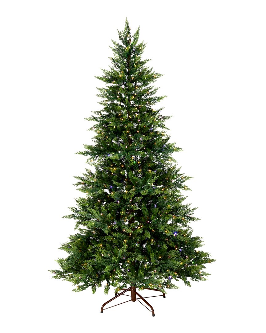 NATIONAL TREE COMPANY NATIONAL TREE COMPANY 7.5FT FEEL-REAL® FESTIVE FERN HINGED TREE WITH 600 CLEAR LIGHTS