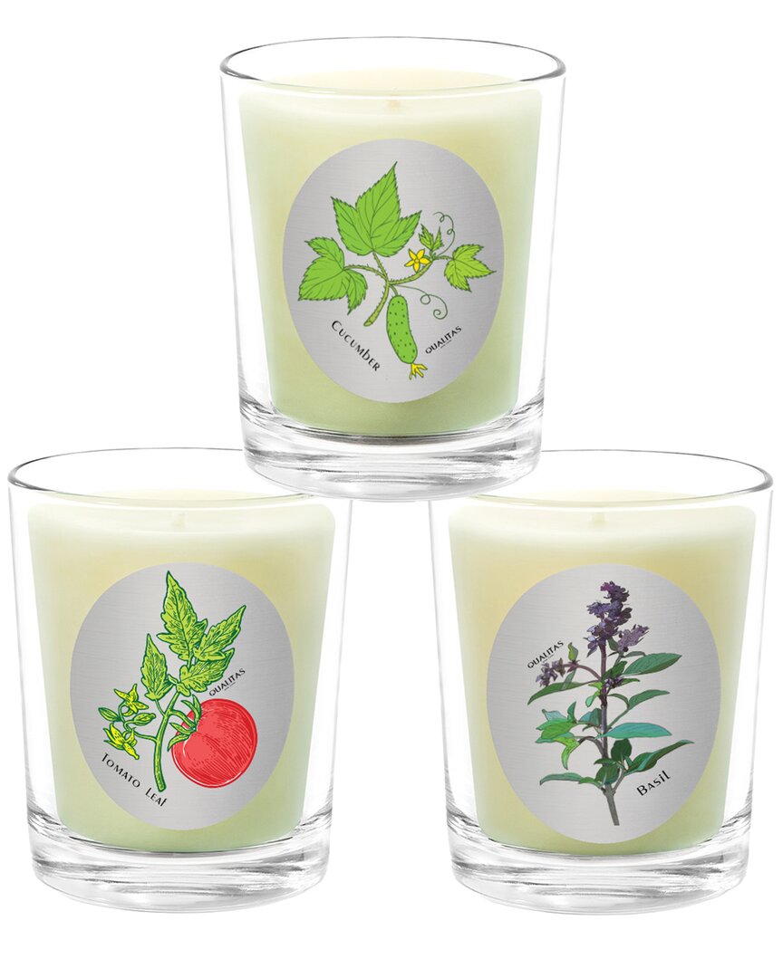 Qualitas Candles 3pc Candle Set - Tomato Leaf, Cucumber, & Basil In White