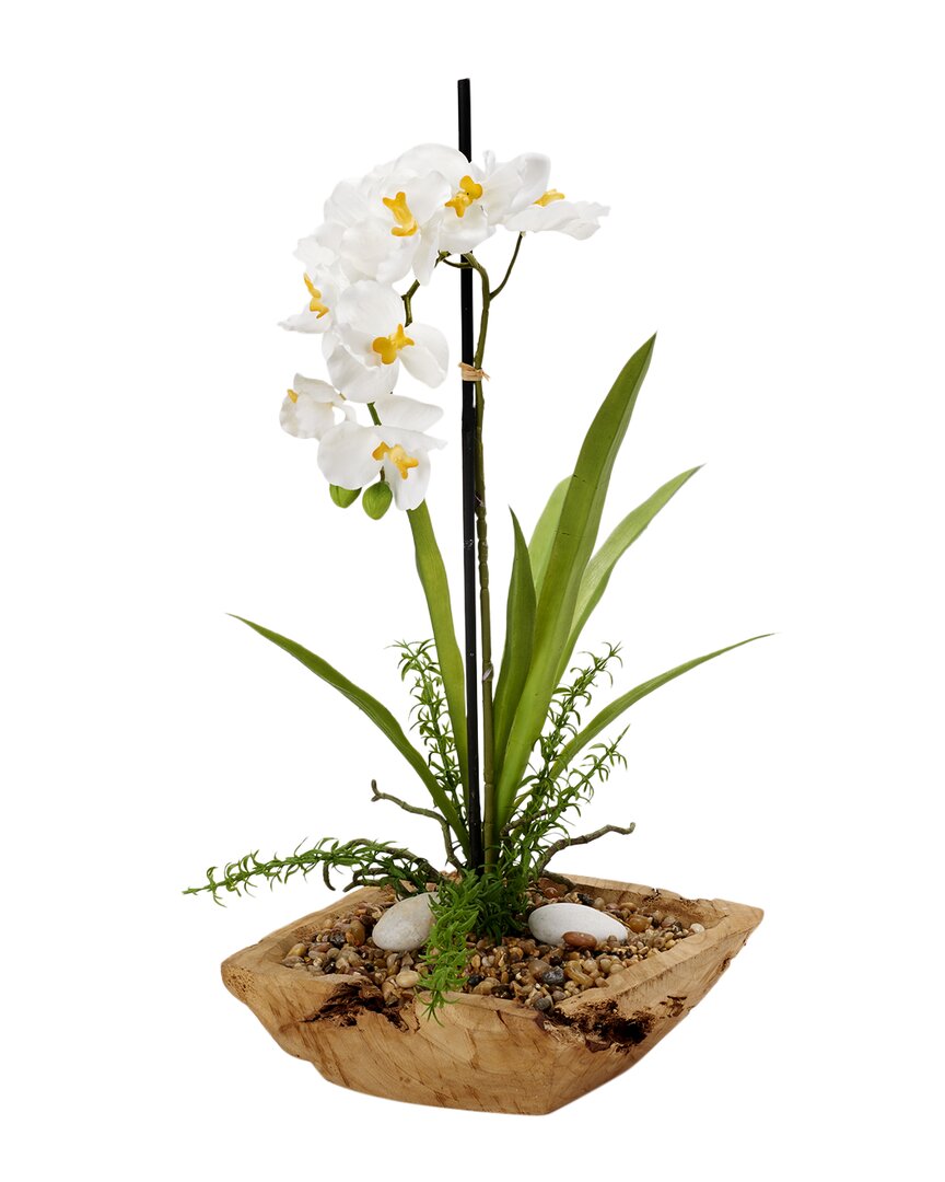 D&w Silks White Vanda Orchid In Square Wooden Bowl
