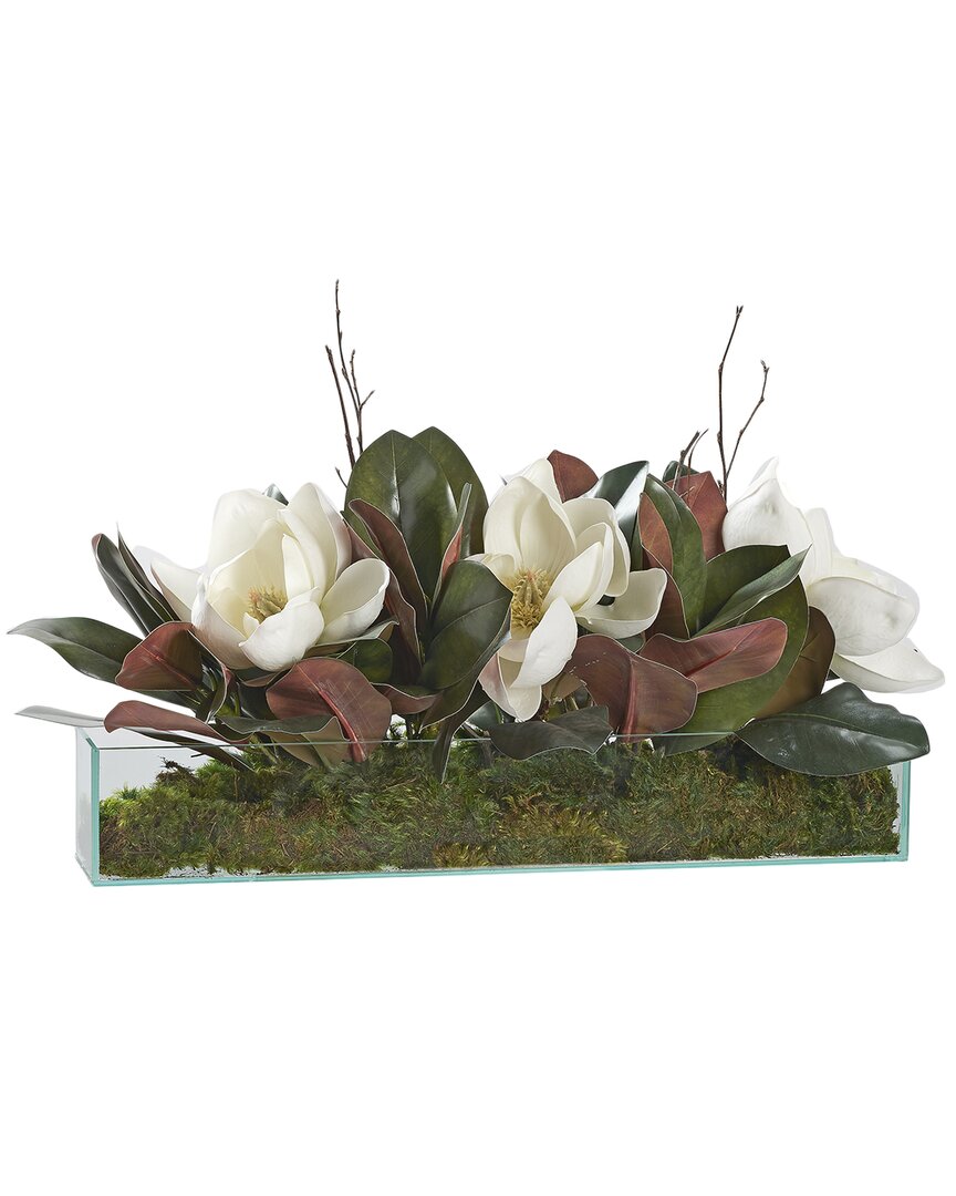 D&w Silks Magnolias And Birch Tops In Rectangle Aquarium Glass In White
