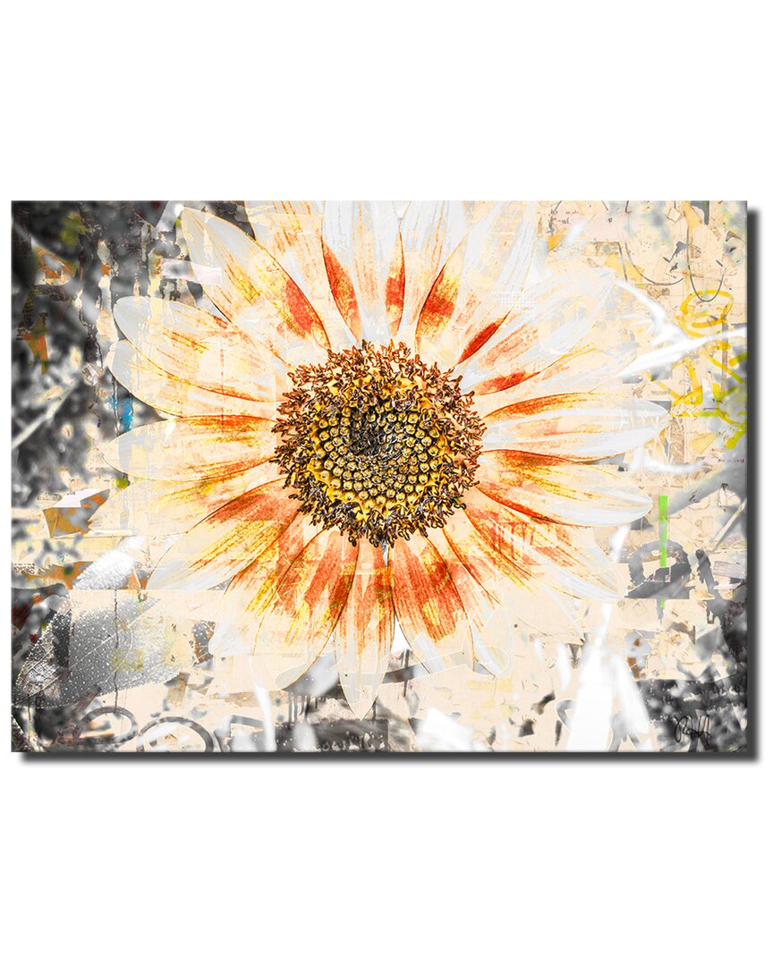 Ready2hangart Painted Petals Xc Wrapped Canvas Wall Art By Tristan Scott