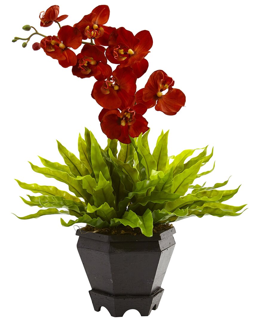 NEARLY NATURAL NEARLY NATURAL BIRDS NEST FERN & ORCHID SILK ARRANGEMENT WITH WOOD PLANTER 