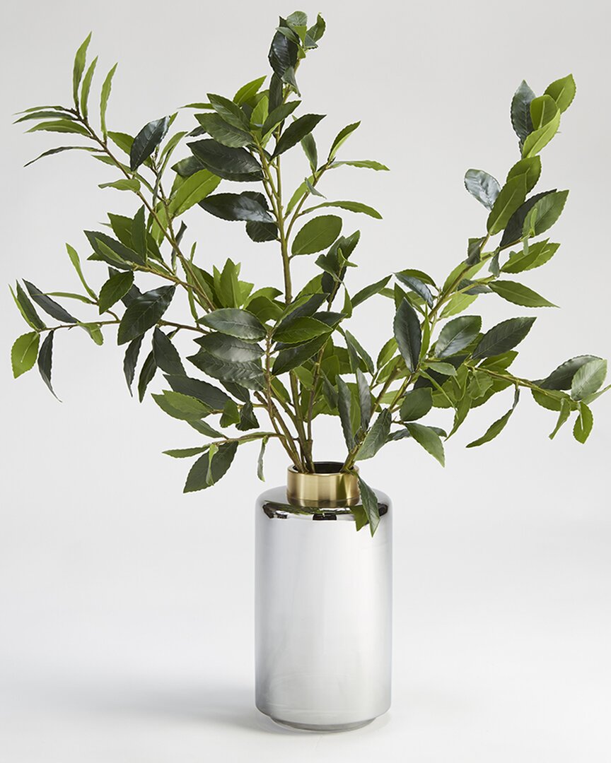 Shop D&w Silks , Inc Bay Leaf Branches In Large Smoked Glass Vase