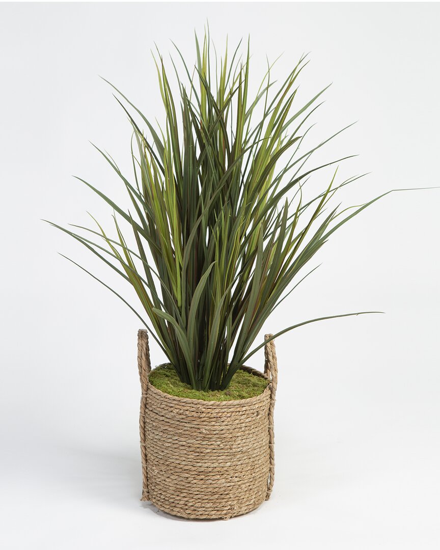 D&w Silks , Inc Tall Grass In Round Natural Rattan Basket