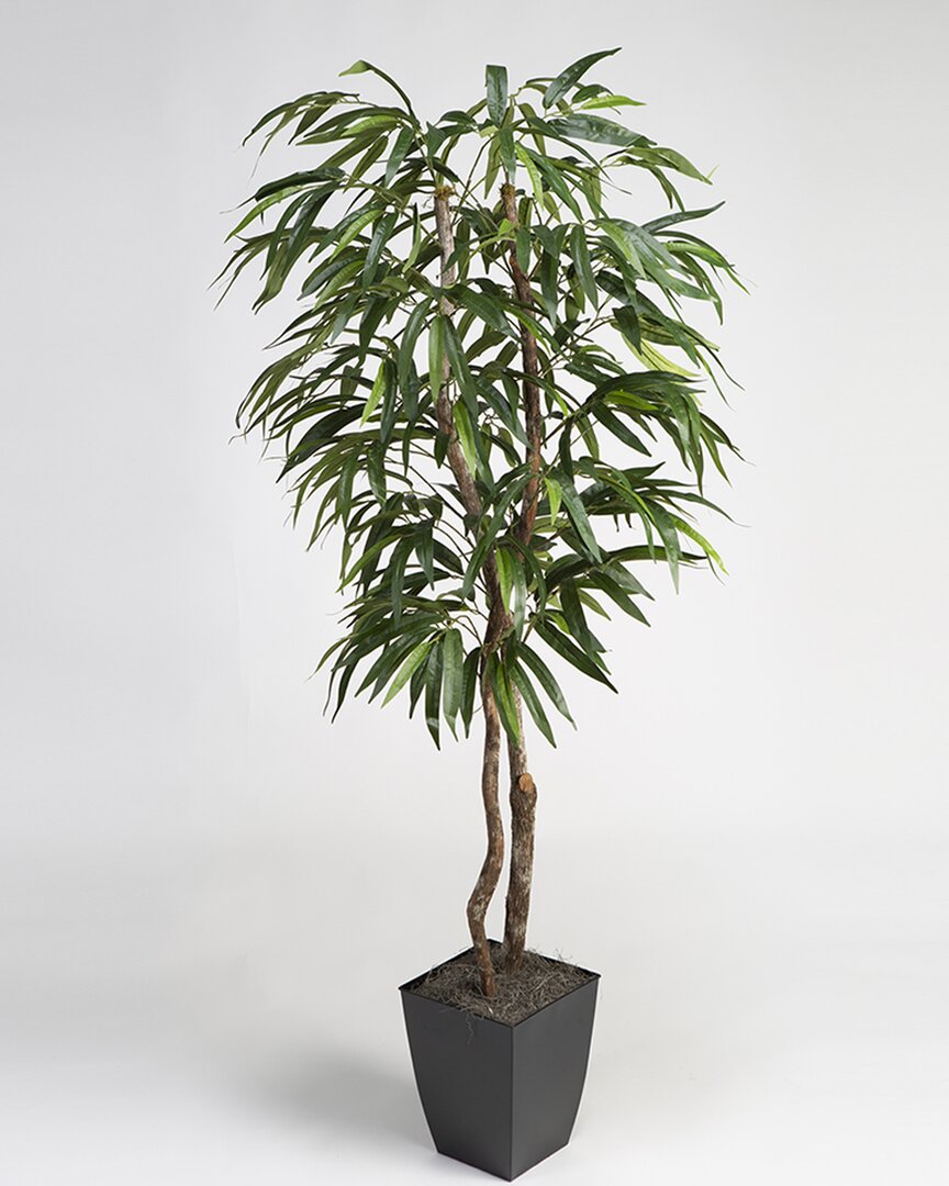 D&w Silks , Inc 6ft Weeping Ficus Tree In Square Metal Planter