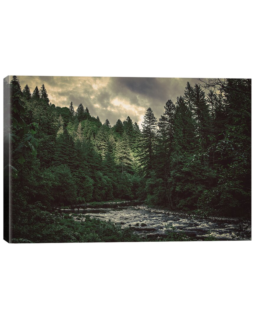 Icanvas Pacific Northwest River And Trees By Nature Magick Wall Art