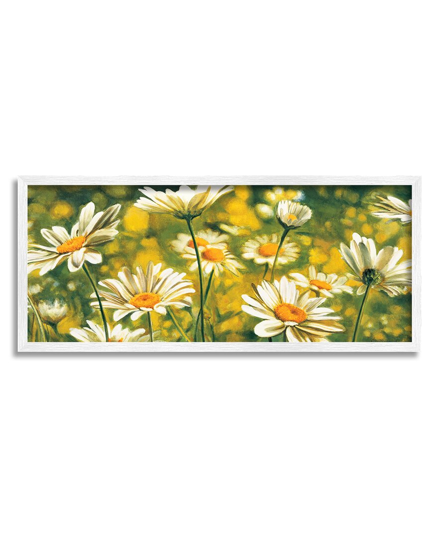 Stupell Wild Daisies Blooming Nature Garden Framed Giclee Wall Art By Pierre Viollet In Green