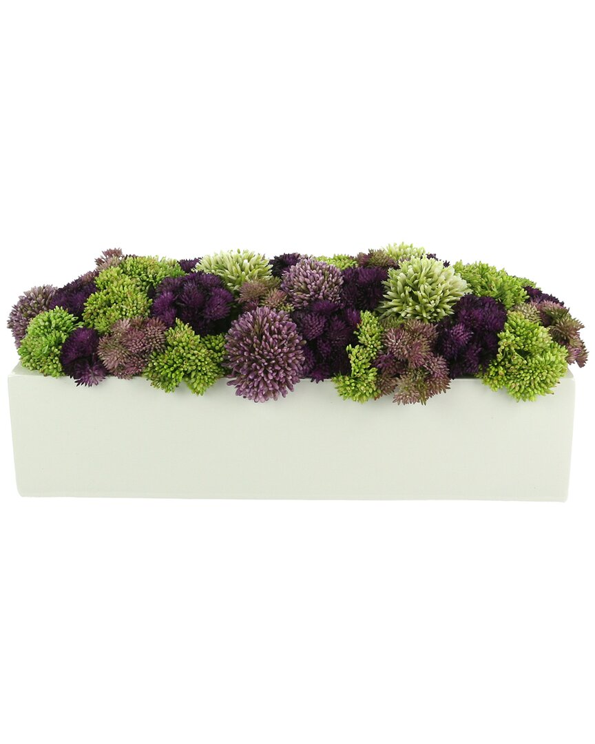 Creative Displays Multicolor Sedum Floral Display In Green