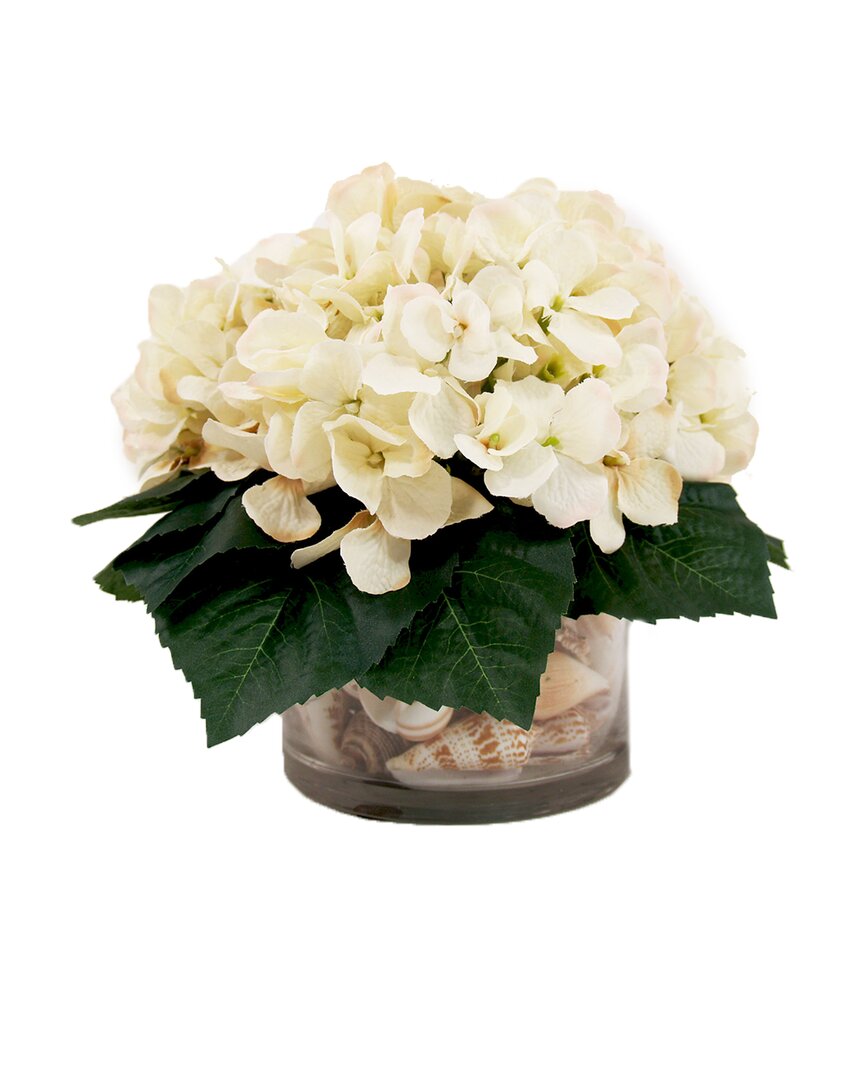 Creative Displays Cream Hydrangea In Glass Vase Filled With Sea Shells