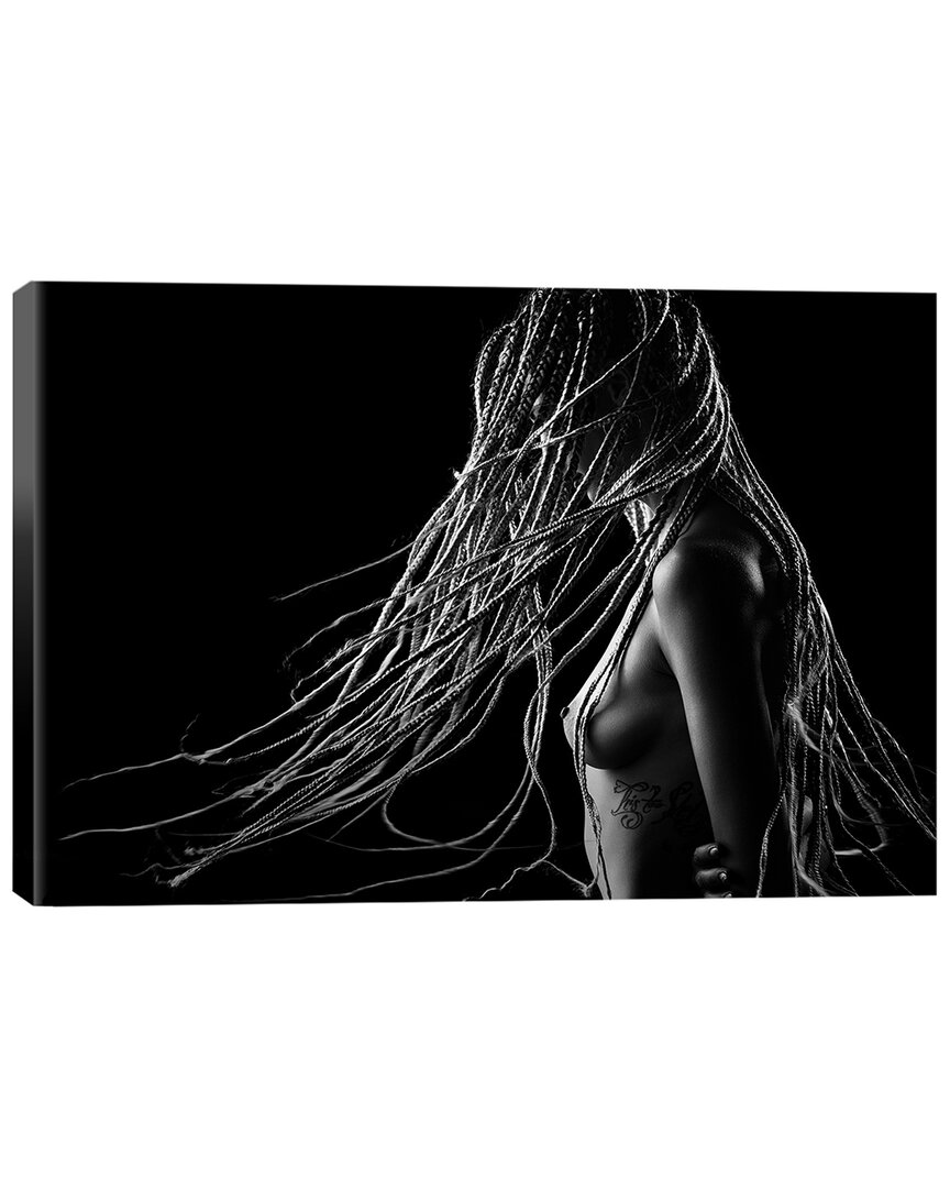 Icanvas Canvas Artwork By Johan Swanepoel