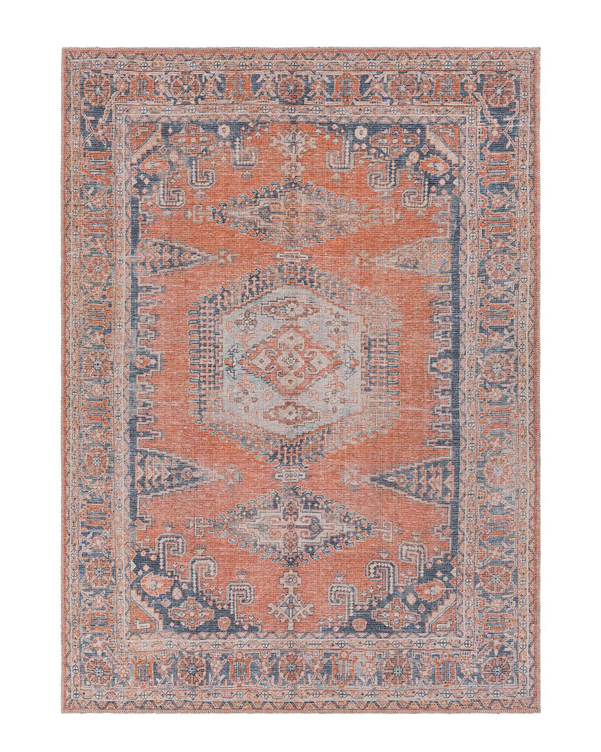 Shop Surya Colin Traditional Washable Rug In Orange