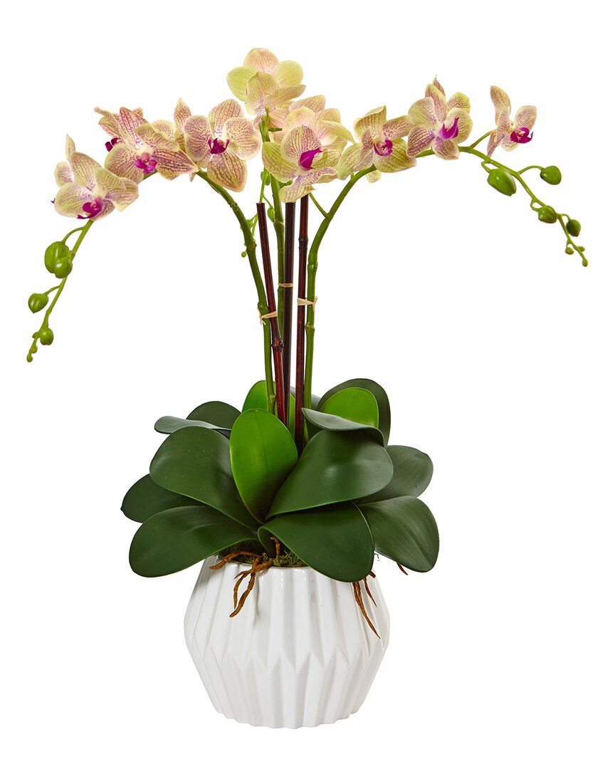 Nearly Natural Phalaenopsis Orchid Silk Arrangement In White Vase In Pink