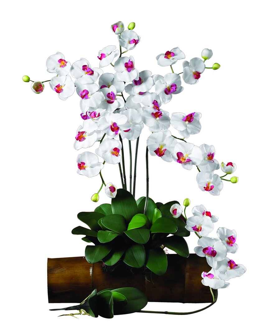 NEARLY NATURAL NEARLY NATURAL SET OF 6 PHALAENOPSIS STEMS 