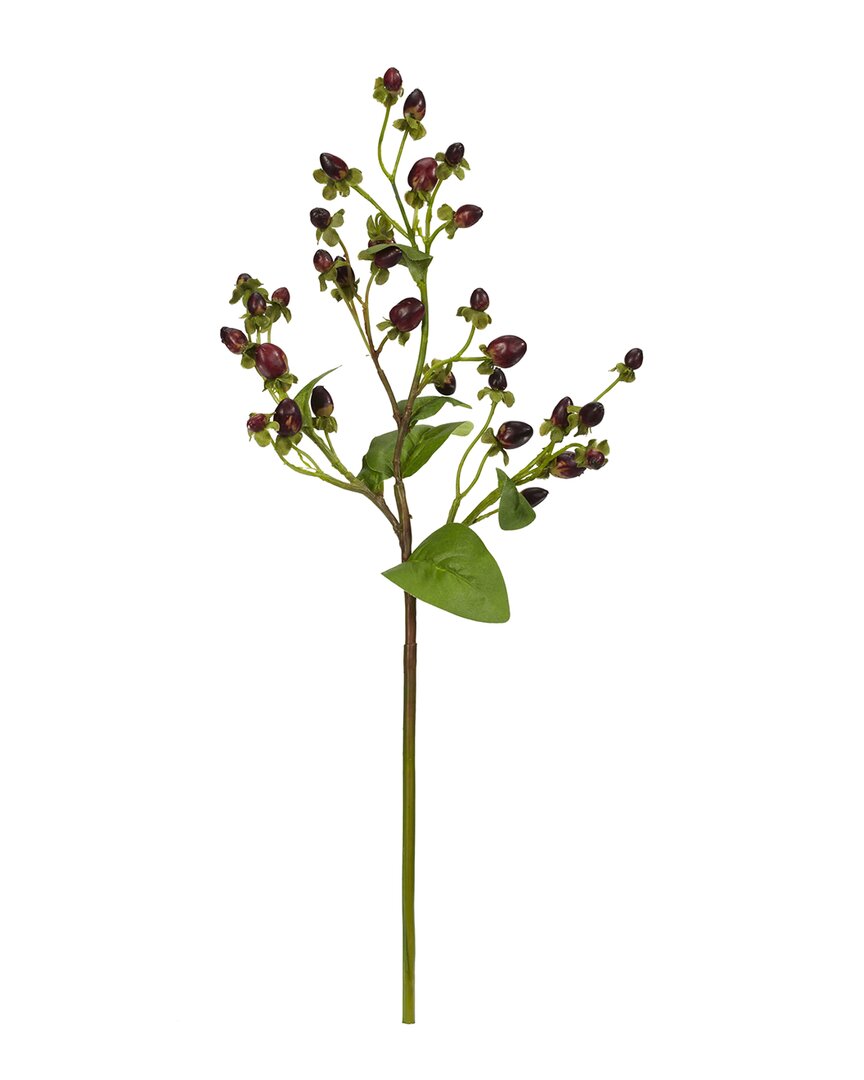 Nearly Natural 17" Italian Coffee Bean Artificial Flower, Set Of 8 In Green